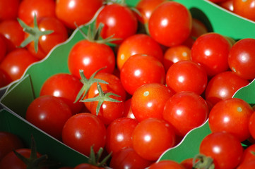 tomates cerises