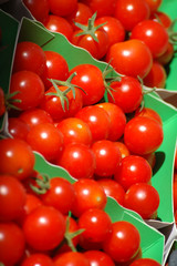 les barquettes de tomates cerises