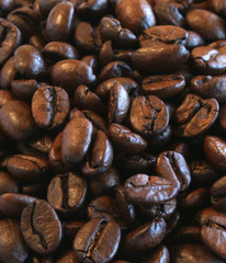 coffee bean background