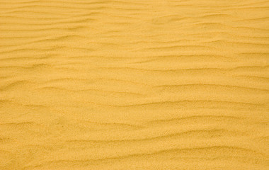 Fototapeta na wymiar rippled sand background