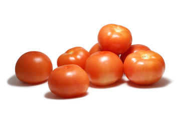 tomatoes on a white background