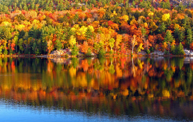 morning at the lake 3