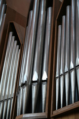 organ