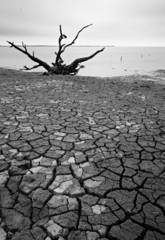desolation