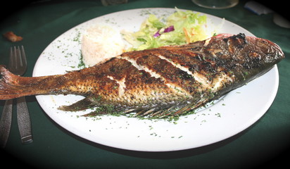 red snapper