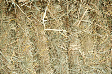 baled hay