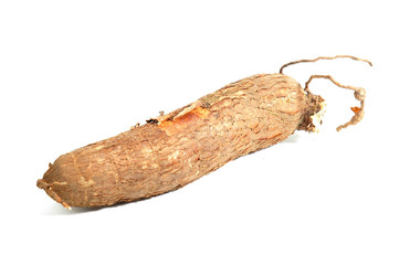 cassava