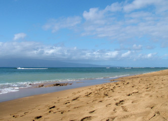 beach and ocean