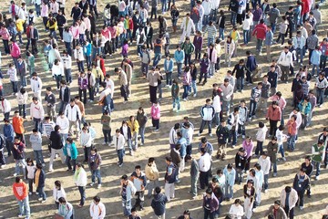 a gathering of students