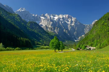 Fotobehang lente in de Alpenvallei in het noorden van Slovenië © Tomo Jesenicnik