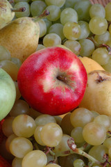 Naklejka na ściany i meble raisin, poires et pommes