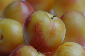 les prunes jaunes