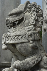 hongkonger steindrache