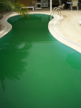 green pool