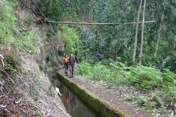 levada madere