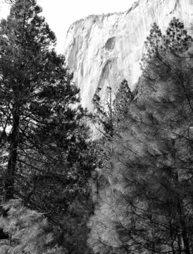 Fototapeta monochrome el capitan