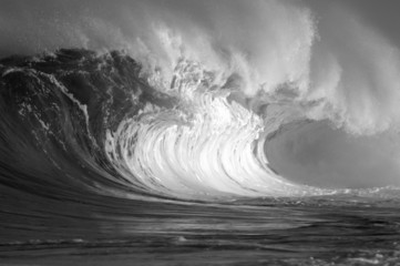 black and white wave