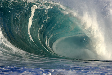 giant wave