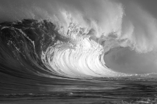 Fototapeta black and white wave