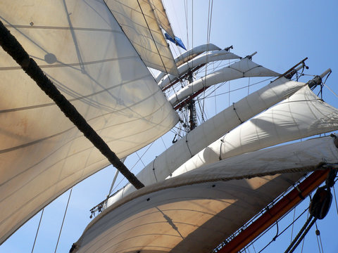 Tall Ship Sails