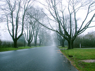 road in vilage without sidewalk