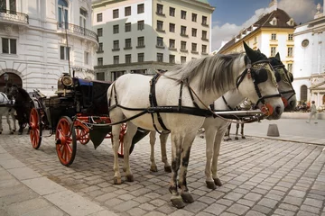 Gordijnen horse-driven cab © Adam Przezak
