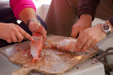 fishing series - cleaning a fresh fish