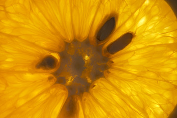 orange texture