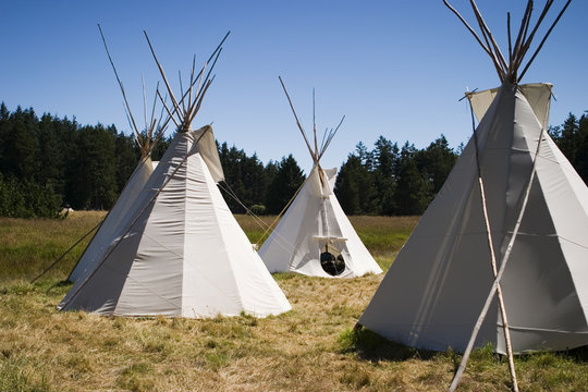 teepee camp in meadow