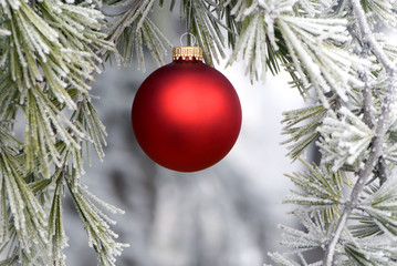 red ornament 1