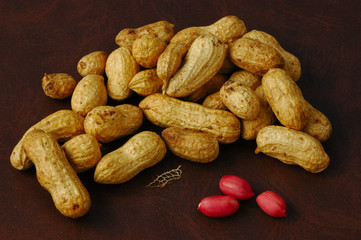 earth nut