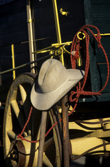 texas style still life