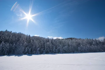 Cercles muraux Arctique fresh snow in sunshine