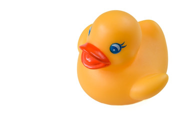 yellow ducky
