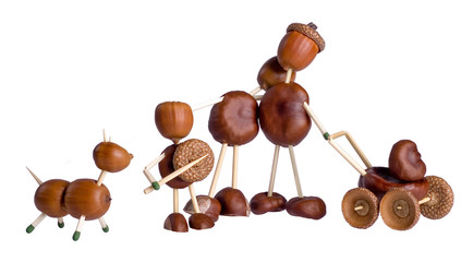 chestnuts family