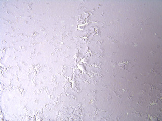 damage paint on wall