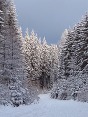 Plakaty  zima w górach - beskid - polska