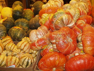 orange, yellow and green squash pile