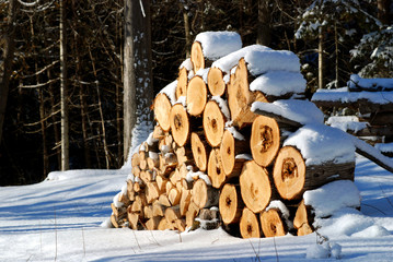 snowy wood pile