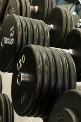 dumbells