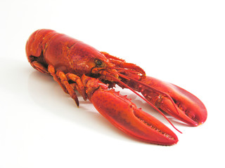 homard
