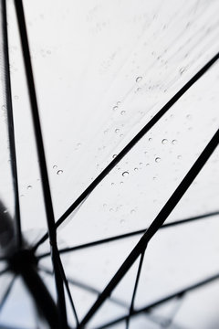 umbrella abstract
