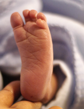 newborn foot