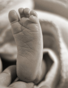 b&w newborn foot
