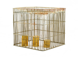 banking - coins in cage on white #2