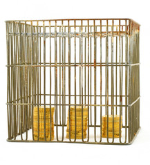 banking - coins in cage on white #3