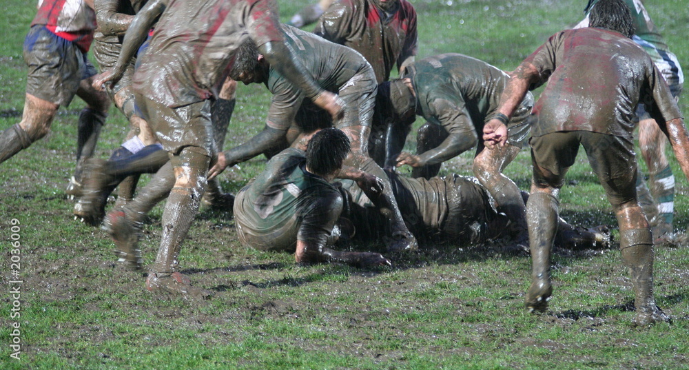 Wall mural rugby