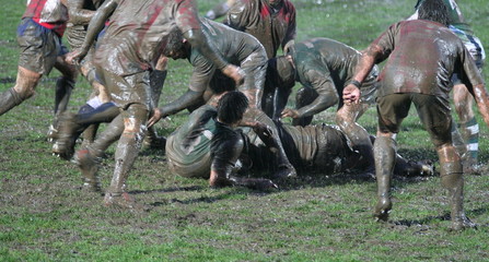 rugby