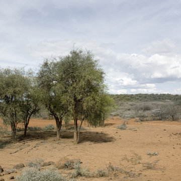 paysage africain
