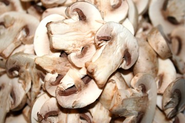 champignon